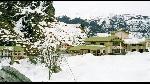 Solang Valley Resort